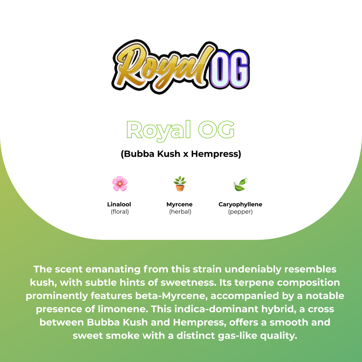 Royal OG 80% CBD Live Resin
