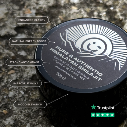 Pure Himalayan Shilajit Resin